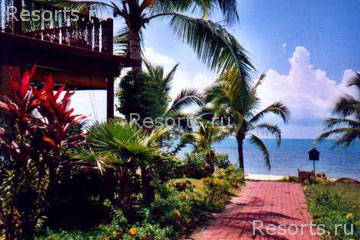 Coconut Laguna 14